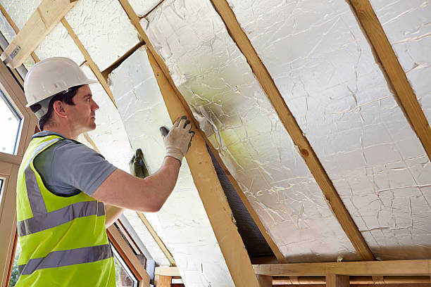 Best Professional Insulation Contractor  in Tarpon Springs, FL